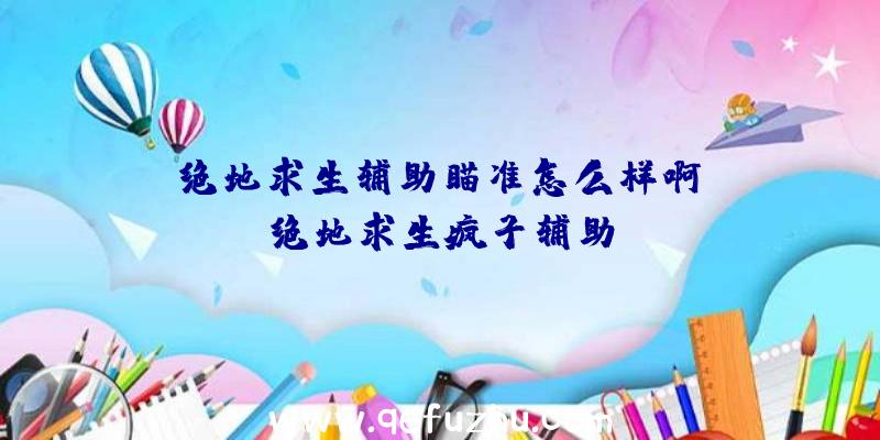 「绝地求生辅助瞄准怎么样啊」|绝地求生疯子辅助